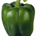 Paprika California (zelena)