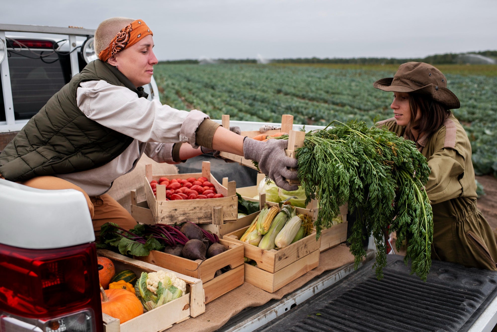 From Field to Table: How Our Products Stay Fresh and Authentic
