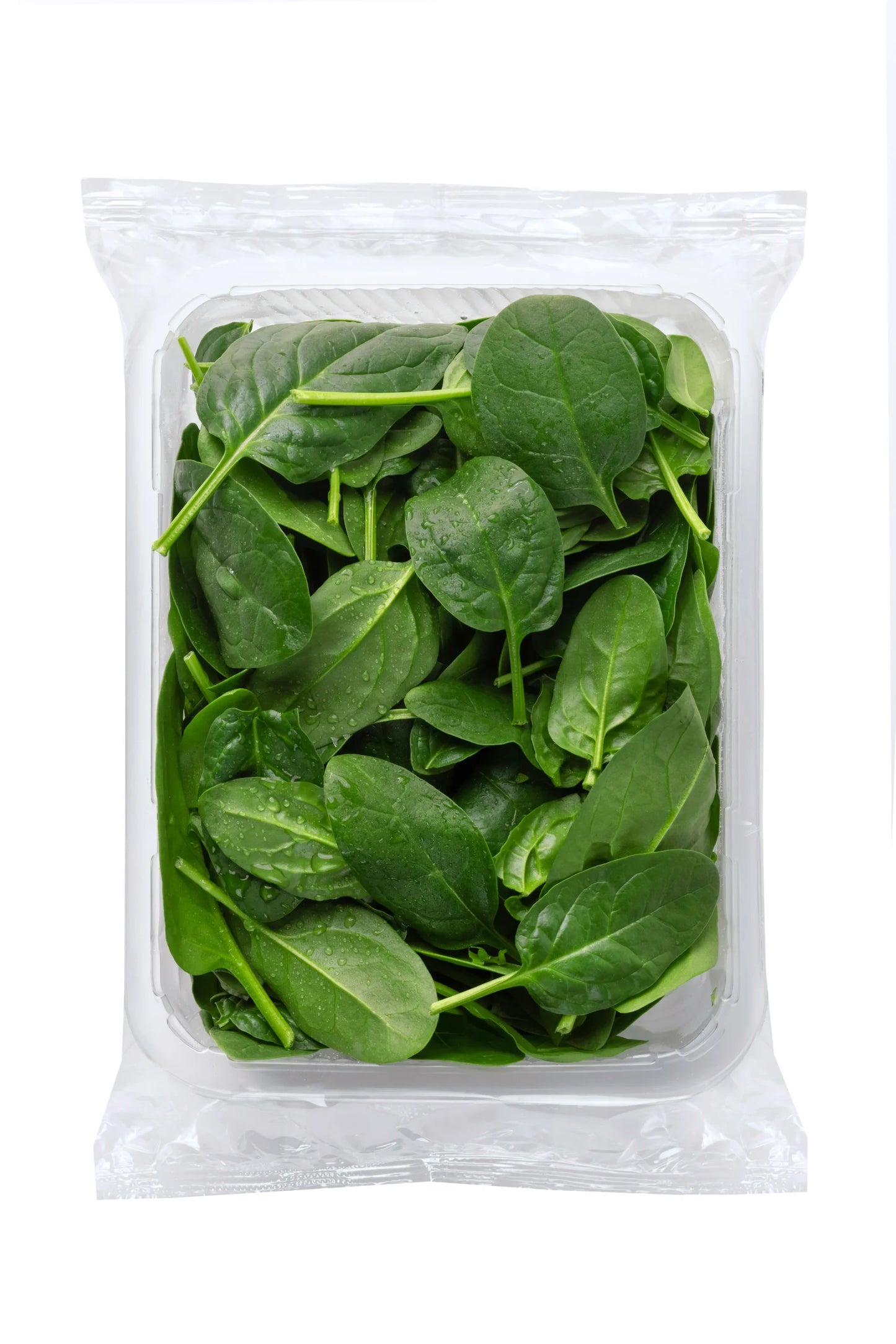 MLADI ŠPINAT 125g