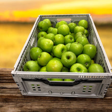 Load image into Gallery viewer, Jabuka (granny smith)
