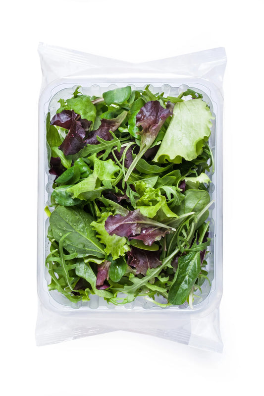 SALATA endivija radić 600g