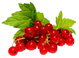 CRVENI RIBIZ 125g - Ena fruit d.o.o.
