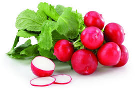 ROTKVICA CHAMPION  20*250g PAK 5KG - Ena fruit d.o.o.