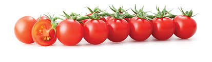 ŠERI RAJČICA (CHERRY) ITALIJA PAK 3-4 KG KARTON-PLASTIKA - Ena fruit d.o.o.