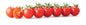 ŠERI RAJČICA (CHERRY) ITALIJA PAK 3-4 KG KARTON-PLASTIKA - Ena fruit d.o.o.