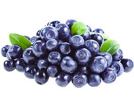 Borovnice 1 kg - Ena fruit d.o.o.