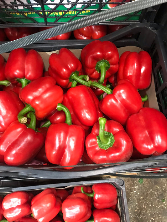 PAPRIKA CRVENA CALIFORNIA NIZOZEMSKA GG 5 KG - Ena fruit d.o.o.