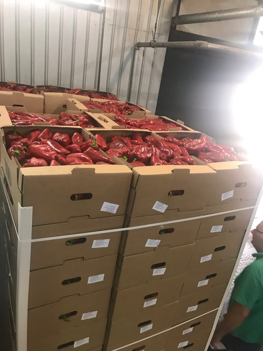 Paprika rog