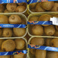 Kiwi -1 kg  calibar 11 pak 1 kg  dostupno 4900 kg - Ena fruit d.o.o.