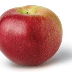 Jabuka Idared - Ena fruit d.o.o.