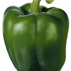 PAPRIKA ZELENA CALIFORNIA NIZOZEMSKA GG 5kg - Ena fruit d.o.o.