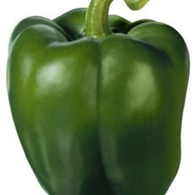 Load image into Gallery viewer, PAPRIKA ZELENA CALIFORNIA NIZOZEMSKA GG 5kg - Ena fruit d.o.o.
