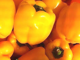 PAPRIKA ŽUTA CALIFORNIA NIZOZEMSKA GG 5 KG - Ena fruit d.o.o.