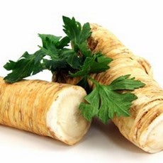 PERŠIN KORJEN  CAL 20-65 10KG BIJELA MREŽA - Ena fruit d.o.o.
